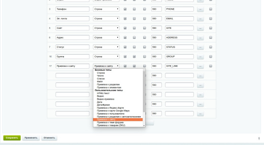 Свойство "Привязка к сайту"