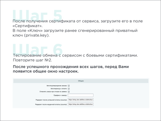 Скил Лайн | BNPL-модуль для интеграции сервиса "Подели"