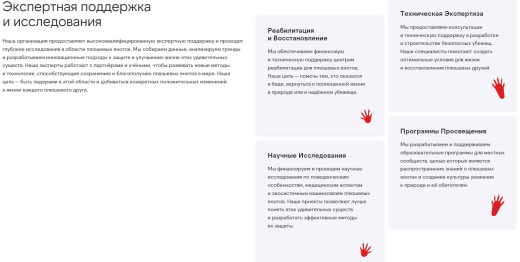 kvokka:Сайт некоммерческой организации и благотворительного фонда