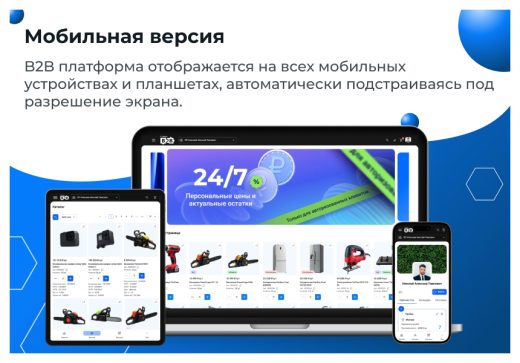 Сотбит: B2B кабинет Plus
