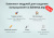 INRAISE: Микроразметка Schema.org 4 в 1. Организация, хлебные крошки, статьи, поиск