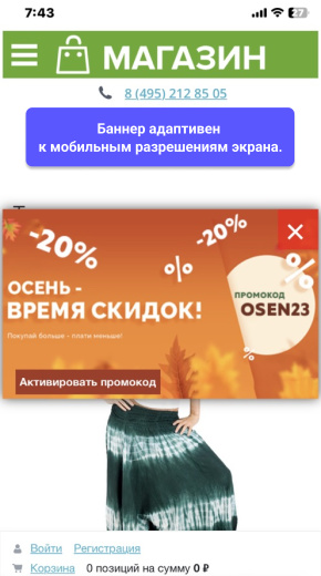 WBS24: Всплывающий рекламный баннер