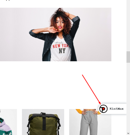 Отладчик KintMax (debuger). Функции d(), s(), ds(), ss(), dp()