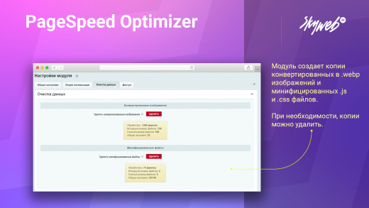 Google PageSpeed Optimizer