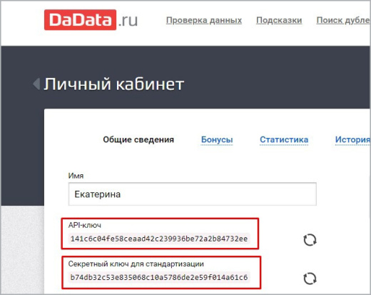 Связь с сервисом dadata.ru