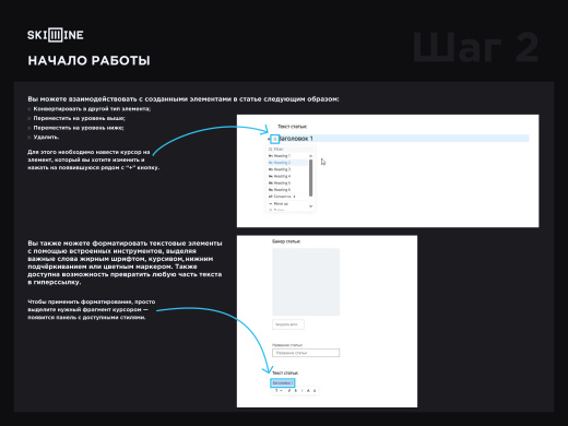 Скил Лайн: Вики