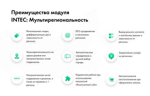 INTEC: Мультирегиональность - региональная сеть вашего сайта с продвижением в поисковиках