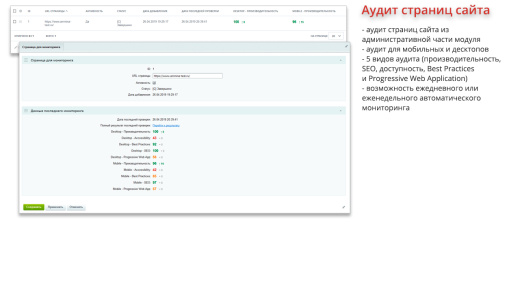 Ammina Optimizer: Оптимизация и ускорение загрузки сайта (CSS, JS, HTML, изображения, WebP, Lazy)