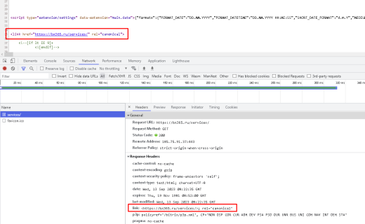 BX365: Установка URL адреса канонической страницы (canonical)