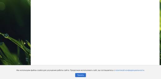 Соглашение с cookies